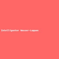 Intelligenter Wasser-Lappen
