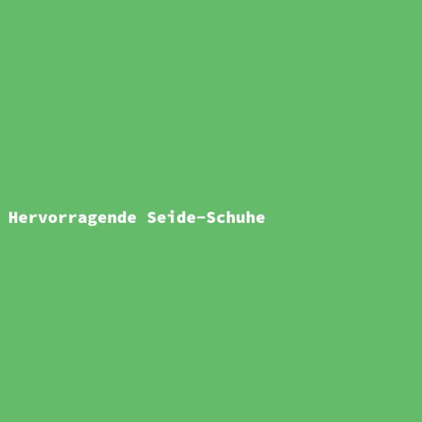 Hervorragende Seide-Schuhe